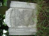 image of grave number 613532